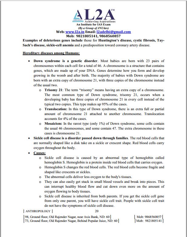 al2a-ias-institute-test-for-anthropology-1-to-8-english-medium-2023