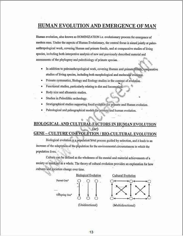 anthropology-sosin-mam-english-printed-material