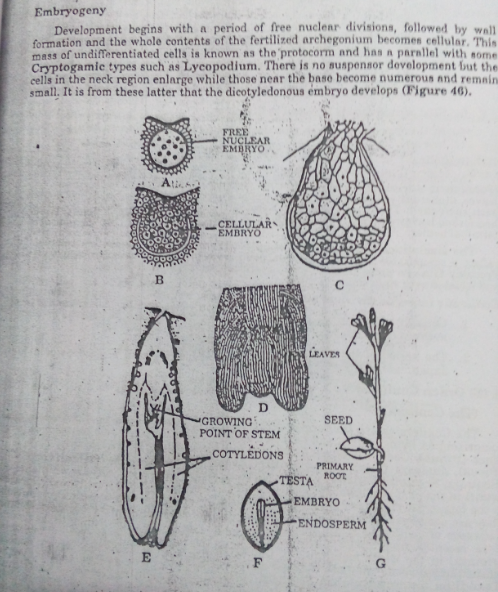 botany-brilliant-tutorials-for-upsc-and-ifs-examination