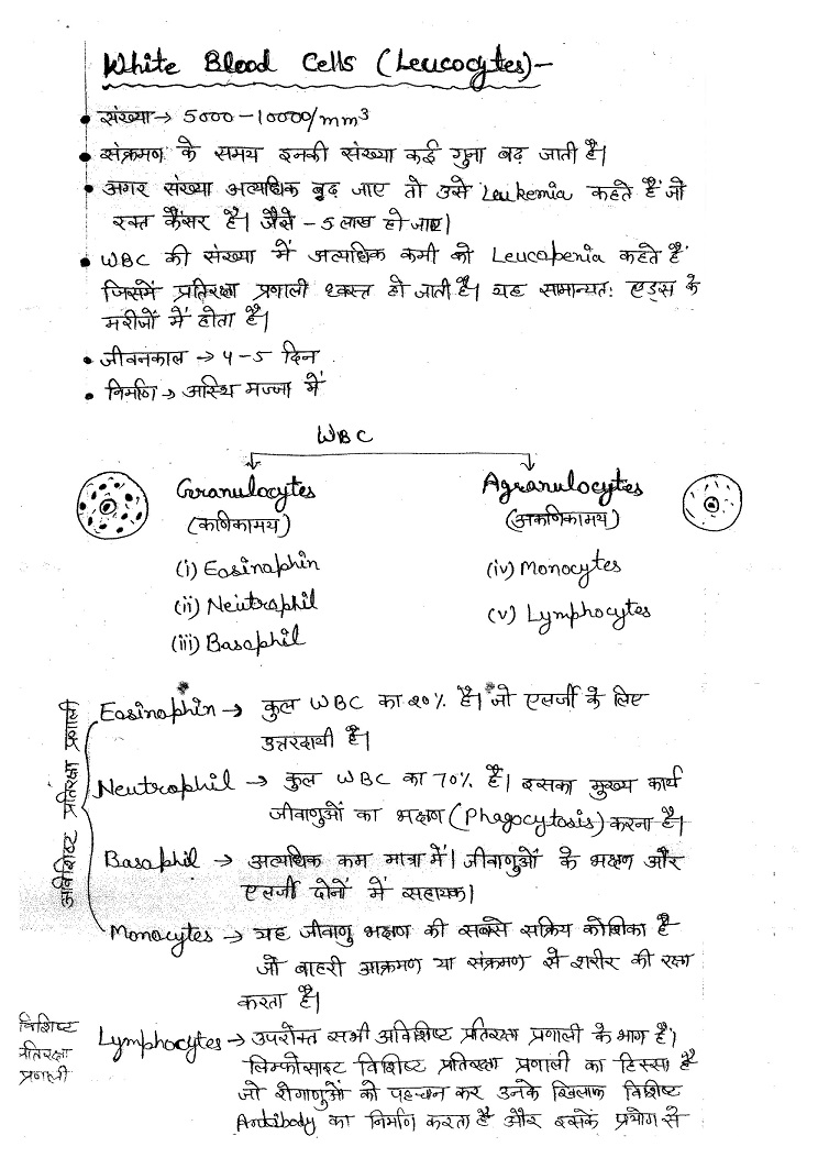 dristi-ias-general-studies-class-notes-hindi-medium