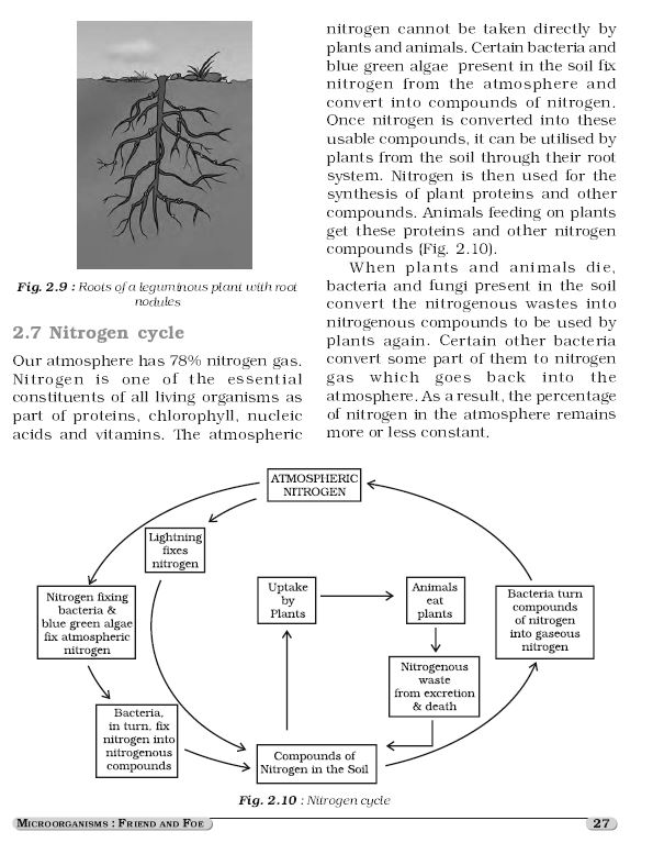 new-ncert-science-6th-to-10th-english-medium