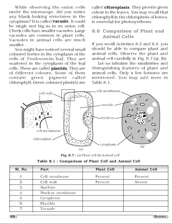 new-ncert-science-6th-to-10th-english-medium