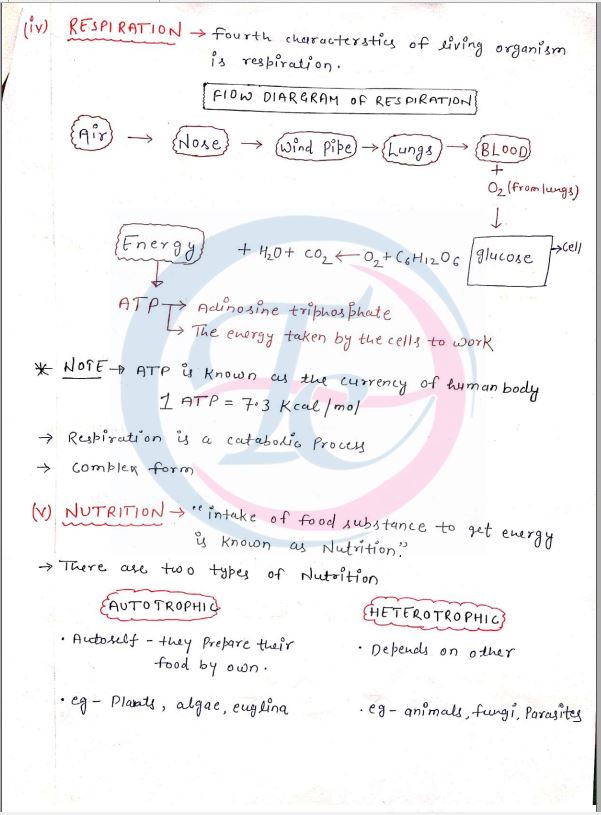 kajal-mam-biology-class-notes-english-medium-2021