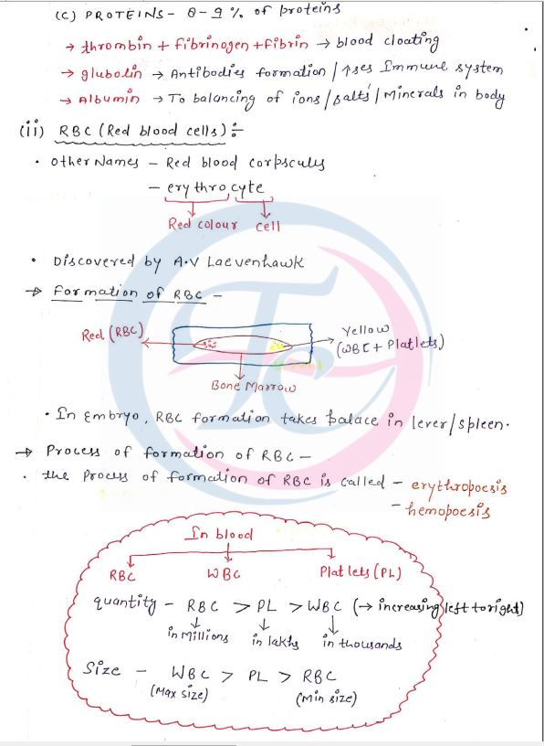 kajal-mam-biology-class-notes-english-medium-2021