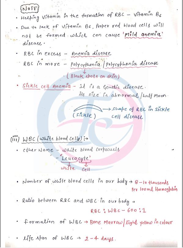 kajal-mam-biology-class-notes-english-medium-2021