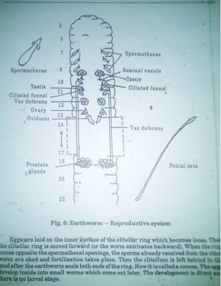 zoology-printed-notes-brilliant-tutorials